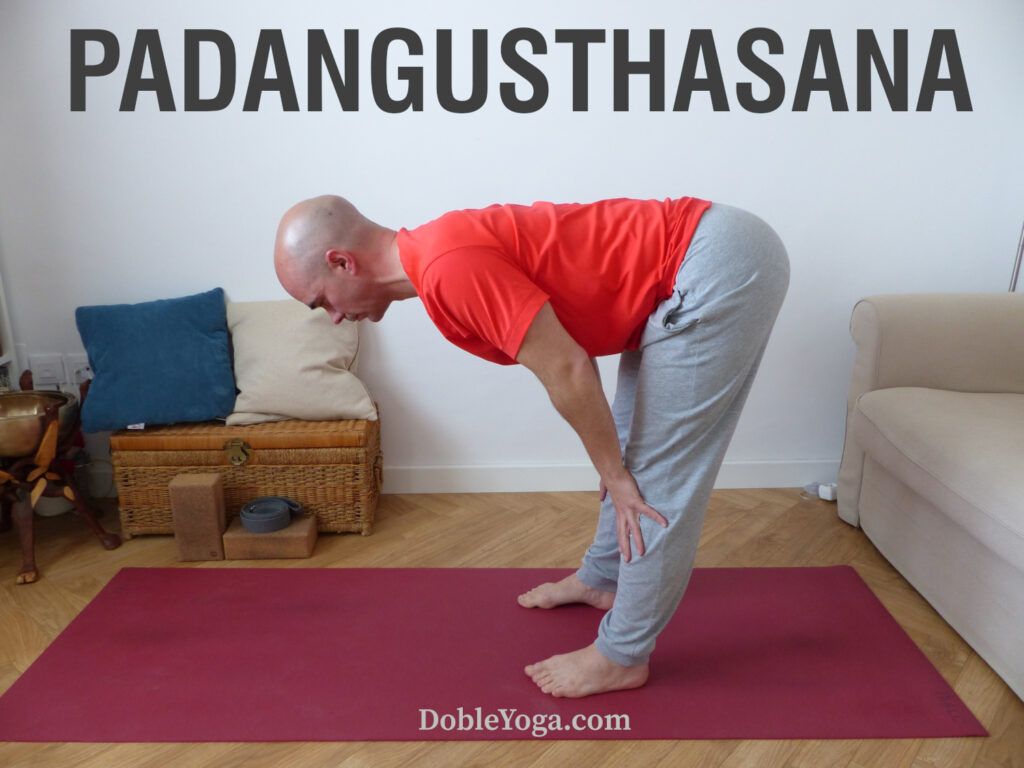 Padangusthasana y Padahastasana en la primera serie de Ashtanga Yoga